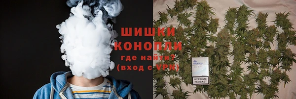 хмурый Белокуриха