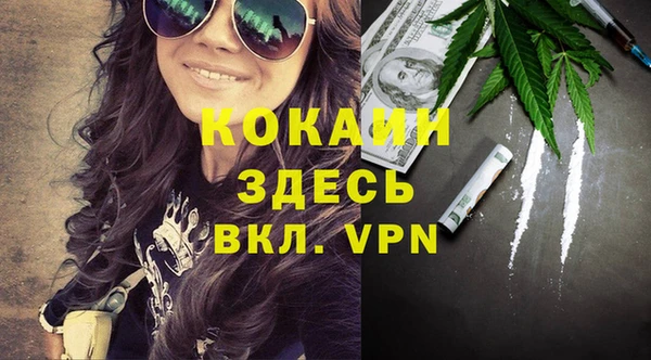 хмурый Белокуриха