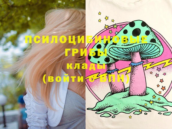 хмурый Белокуриха
