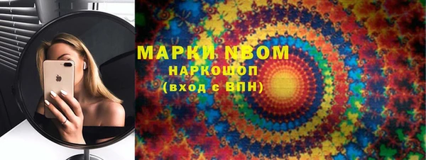 стаф Балахна