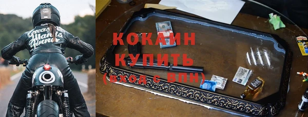 хмурый Белокуриха