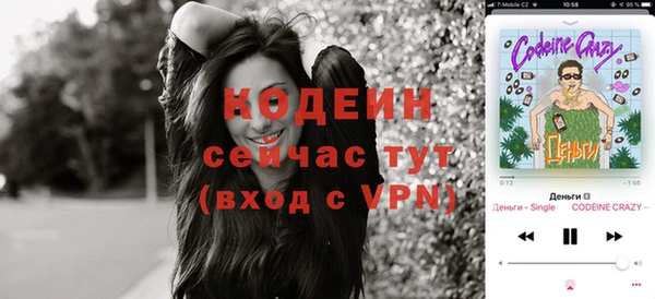хмурый Белокуриха