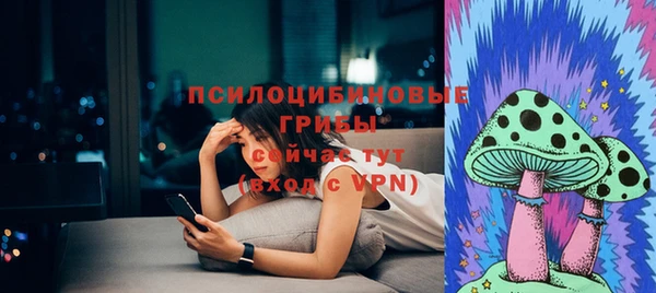 хмурый Белокуриха