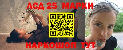 стаф Долгопрудный