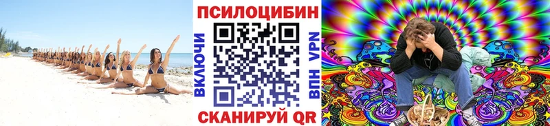 где купить наркотик  Маркс  Псилоцибиновые грибы GOLDEN TEACHER 