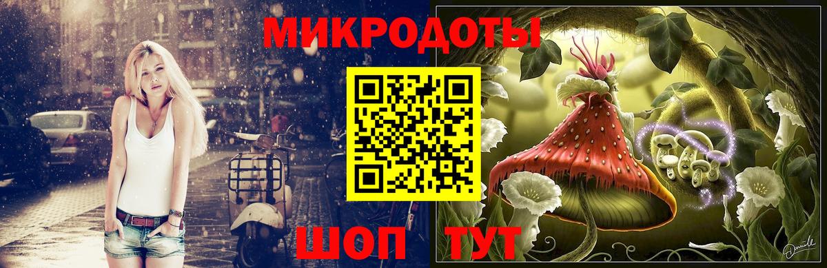 Галлюциногенные грибы Psilocybe  Вход с VPN  Псилоцибиновые грибы мухоморы  Маркс 