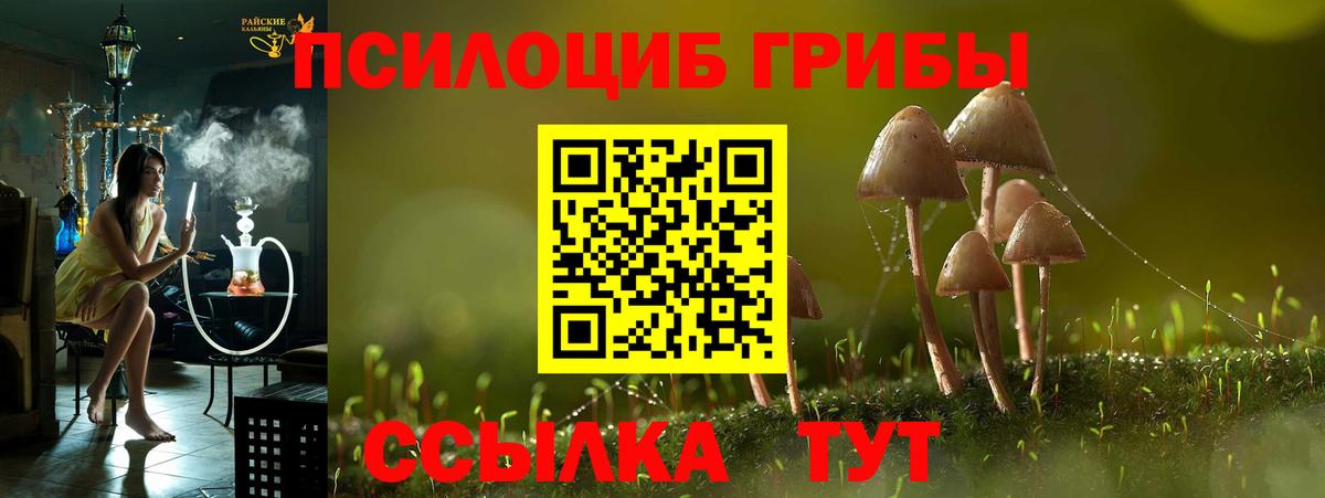 Галлюциногенные грибы Cubensis Маркс
